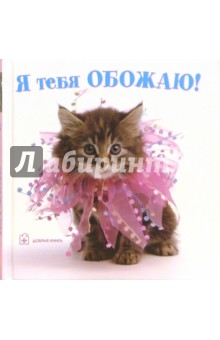 Я тебя обожаю!
