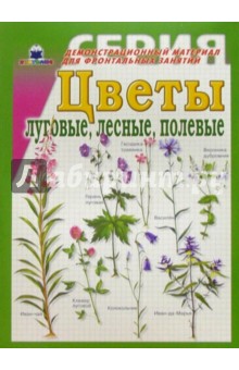 Цветы луговые, лесные, полевые. Демонстрационный материал для фронтальных занятий