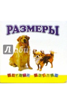 Первый взгляд: Размеры