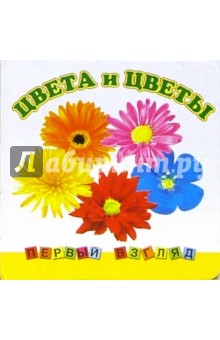 Первый взгляд: Цвета и цветы