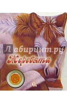 Жеребята. Узнай мой голос