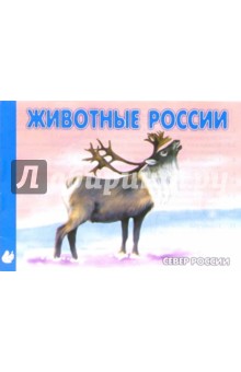 Животные Севера России. Раскраска (М-006)