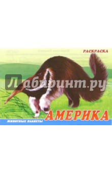 Животные Америки. Раскраска (М-014)