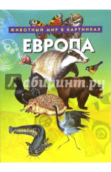Европа. Животный мир в картинках