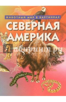 Северная Америка