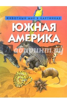 Южная Америка