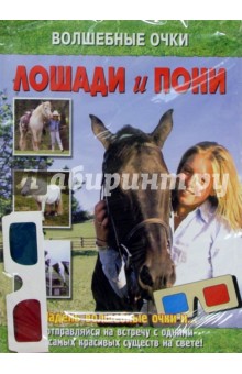 Лошади и пони