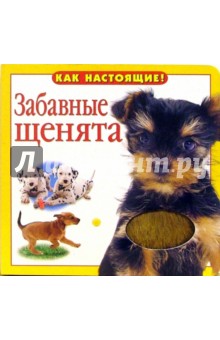 Забавные щенята
