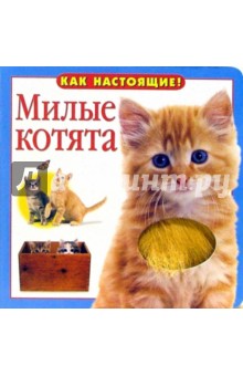 Милые котята