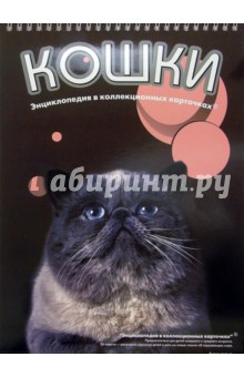Кошки