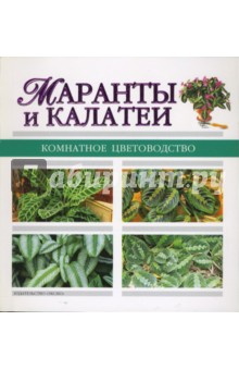 Маранты и калатеи