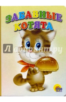 Забавные котята