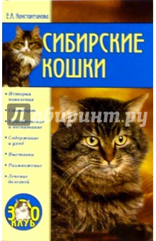 Сибирские кошки