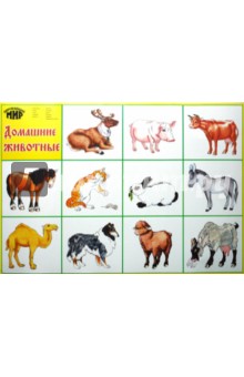 Плакат "Домашние животные" (50х70 см)