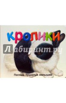 Погладь пушистых малышей! Кролики