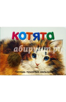 Погладь пушистых малышей! Котята