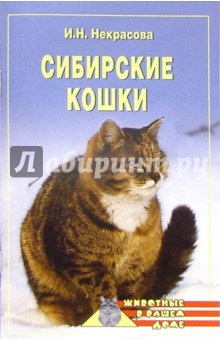 Сибирские кошки
