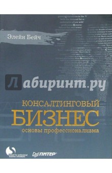 Консалтинговый бизнес. Основы профессионализма