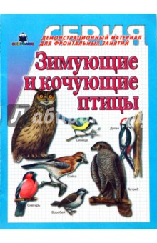 Зимующие и кочующие птицы