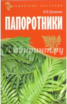 Папоротники