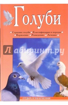 Голуби