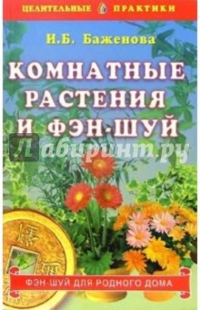 Комнатные растения и фэн-шуй