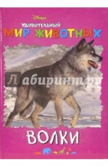 Удивительный мир животных: Волки