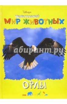 Удивительный мир животных: Орлы