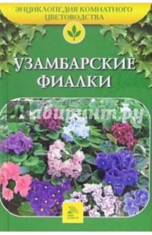 Узамбарские фиалки