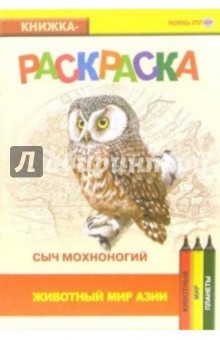 Сыч мохноногий. Животный мир Азии