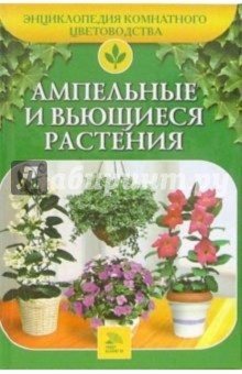 Ампельные и вьющиеся растения