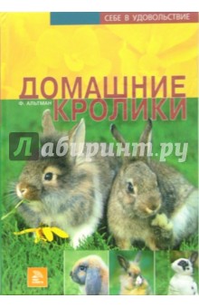 Домашние кролики