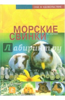 Морские свинки