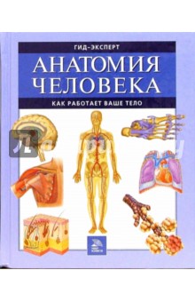 Анатомия человека. Как работает ваше тело