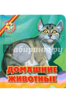 Домашние животные