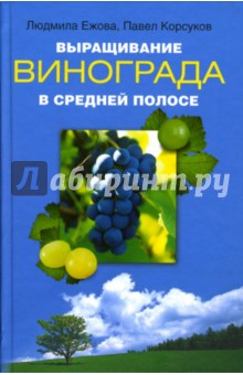 Выращивание винограда в средней полосе