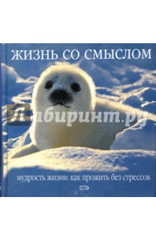 Жизнь со смыслом. Мудрость жизни: Как прожить без стрессов