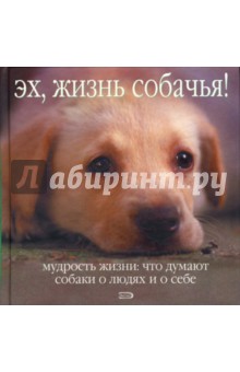 Эх, жизнь собачья! Мудрость жизни: что думают собаки о людях и о себе