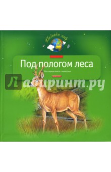 Под пологом леса. Моя первая книга о животных