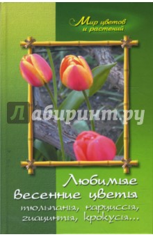 Любимые весенние цветы (тюльпаны, нарциссы, гиацинты, крокусы и другие)