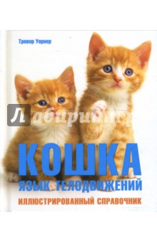 Кошка: язык телодвижений