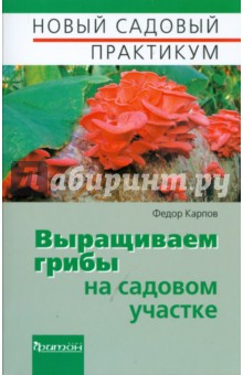 Выращиваем грибы на садовом участке