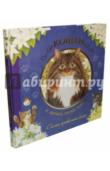 Кошки. И ничего, кроме кошек. Самая правильная книга