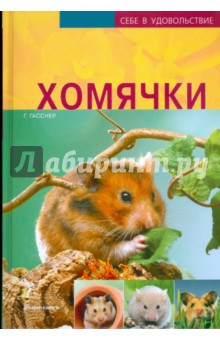 Хомячки