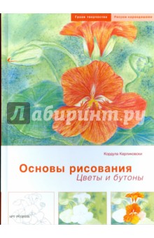 Основы рисования: Цветы и бутоны