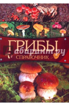 Грибы
