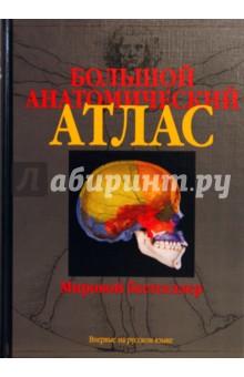 Большой анатомический атлас