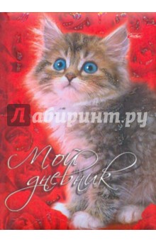 Записная книжка "Мой дневник". "Котик" (02590)