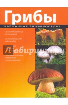 Грибы