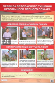 Правила безопасного тушения небольшого лесного пожара